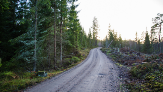 Course image