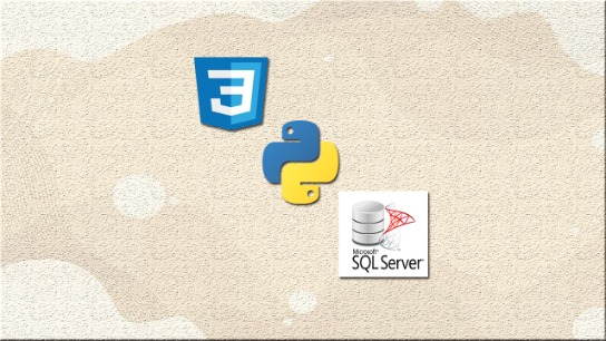 Complete css python microsoft sql zero to expert p3 cpd engineers